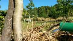 IMG-20160713-WA0003