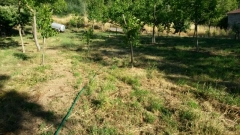 IMG-20160713-WA0004