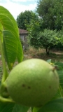 IMG-20160713-WA0005